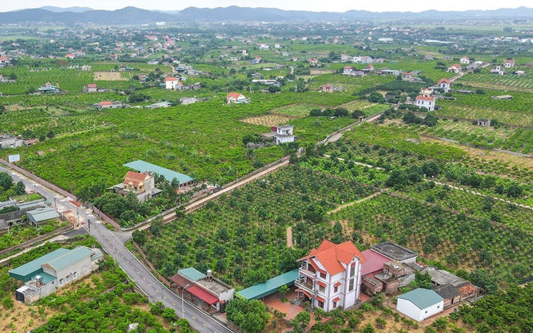 Tháo gỡ vướng mắc các dự án đất đai và triển khai Chương trình mục tiêu quốc gia