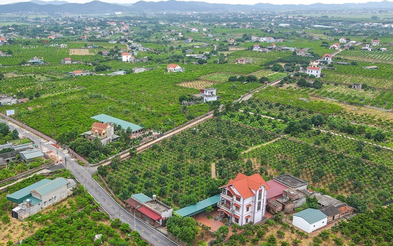 Chỉ đạo, điều hành của Chính phủ, Thủ tướng Chính phủ ngày 10/1/2026