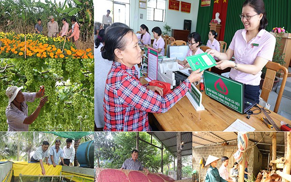 Quy định về tổ chức, hoạt động của Ngân hàng Chính sách xã hội