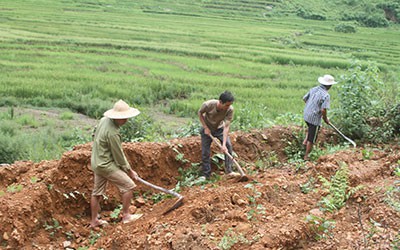 Được xác định lại diện tích đất ở trong trường hợp nào?