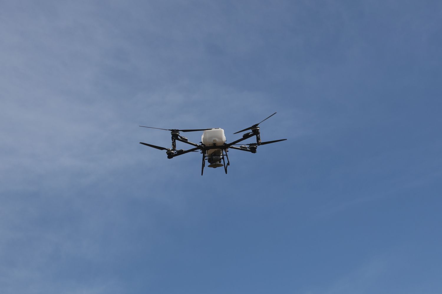 Tiếp nối hành trình Vì một Việt Nam xanh: OMO Trao tặng 20.000 banh hạt giống cho Vườn quốc gia Núi Chúa- Ảnh 3.