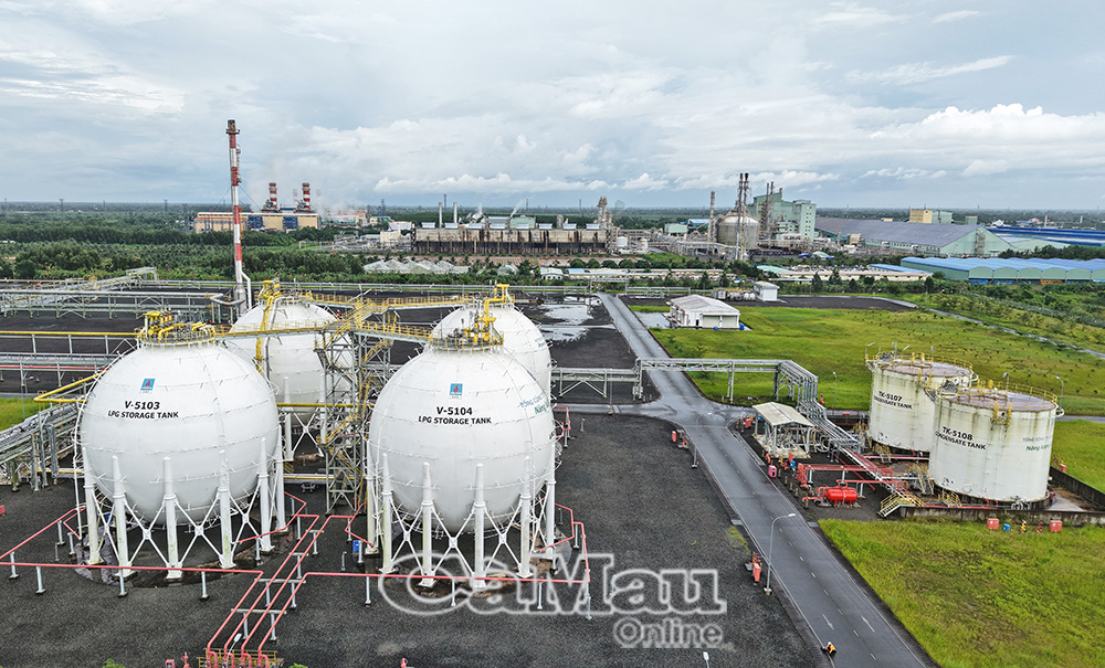 Cà Mau phải bứt phá mạnh mẽ để "vững tin cùng cả nước bước vào kỷ nguyên mới"- Ảnh 4.