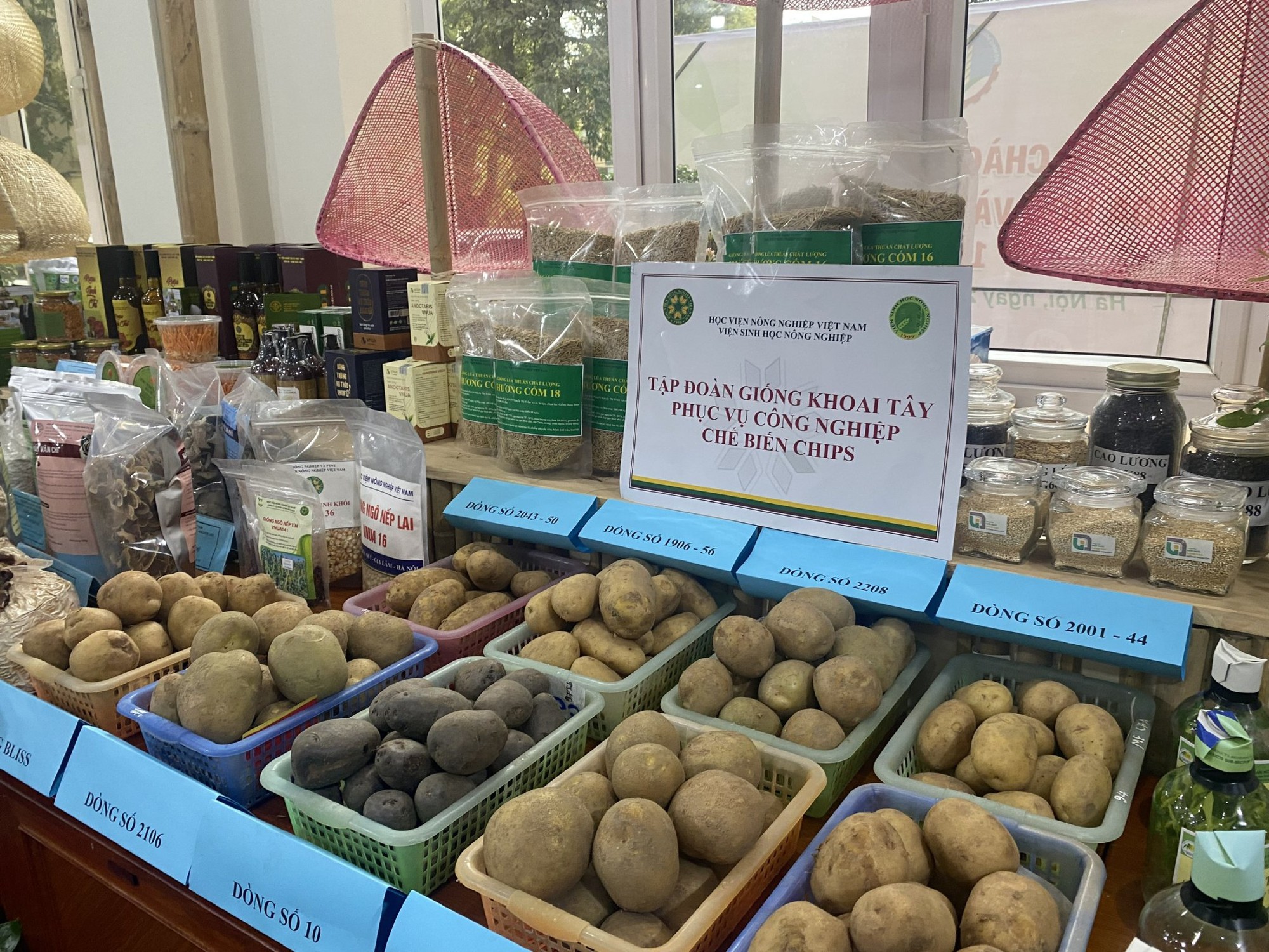 Đưa nông sản 'bay xa' bằng con đường ngoại giao- Ảnh 1.