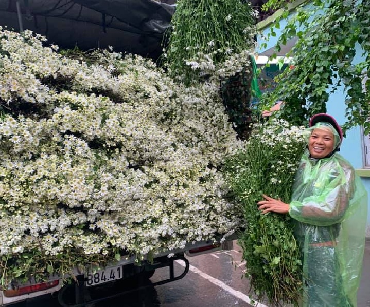 Nhà vườn chuẩn bị nguồn hoa phục vụ Tết Nguyên đán 2026- Ảnh 1.