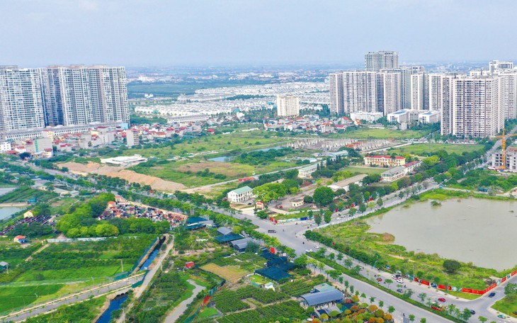 Dự án đầu tư kinh doanh nào phải tổ chức đấu thầu lựa chọn nhà đầu tư?