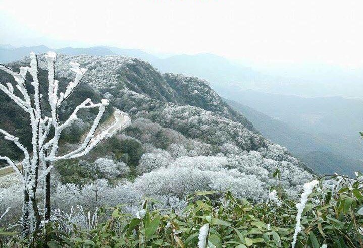 Chủ động ứng phó rét đậm, rét hại- Ảnh 1.