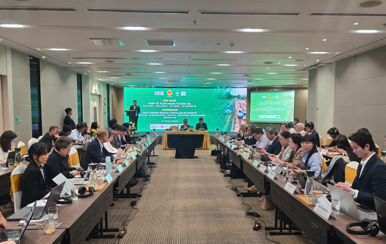 Kinh tế tuần hoàn từ rơm rạ mở lối cho nông nghiệp phát thải thấp- Ảnh 1.