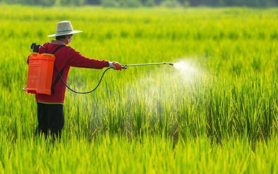 Quy định mới về điều kiện sản xuất, buôn bán thuốc bảo vệ thực vật