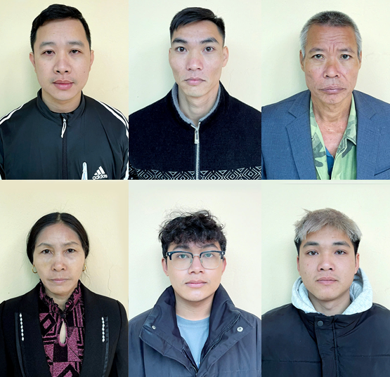 Khởi tố 6 đối tượng thu mua, giết mổ lợn chết, lợn mắc bệnh tả lợn châu Phi- Ảnh 1.