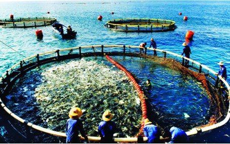 Chỉ đạo, điều hành của Chính phủ, Thủ tướng Chính phủ ngày 26/1/2026 (2)