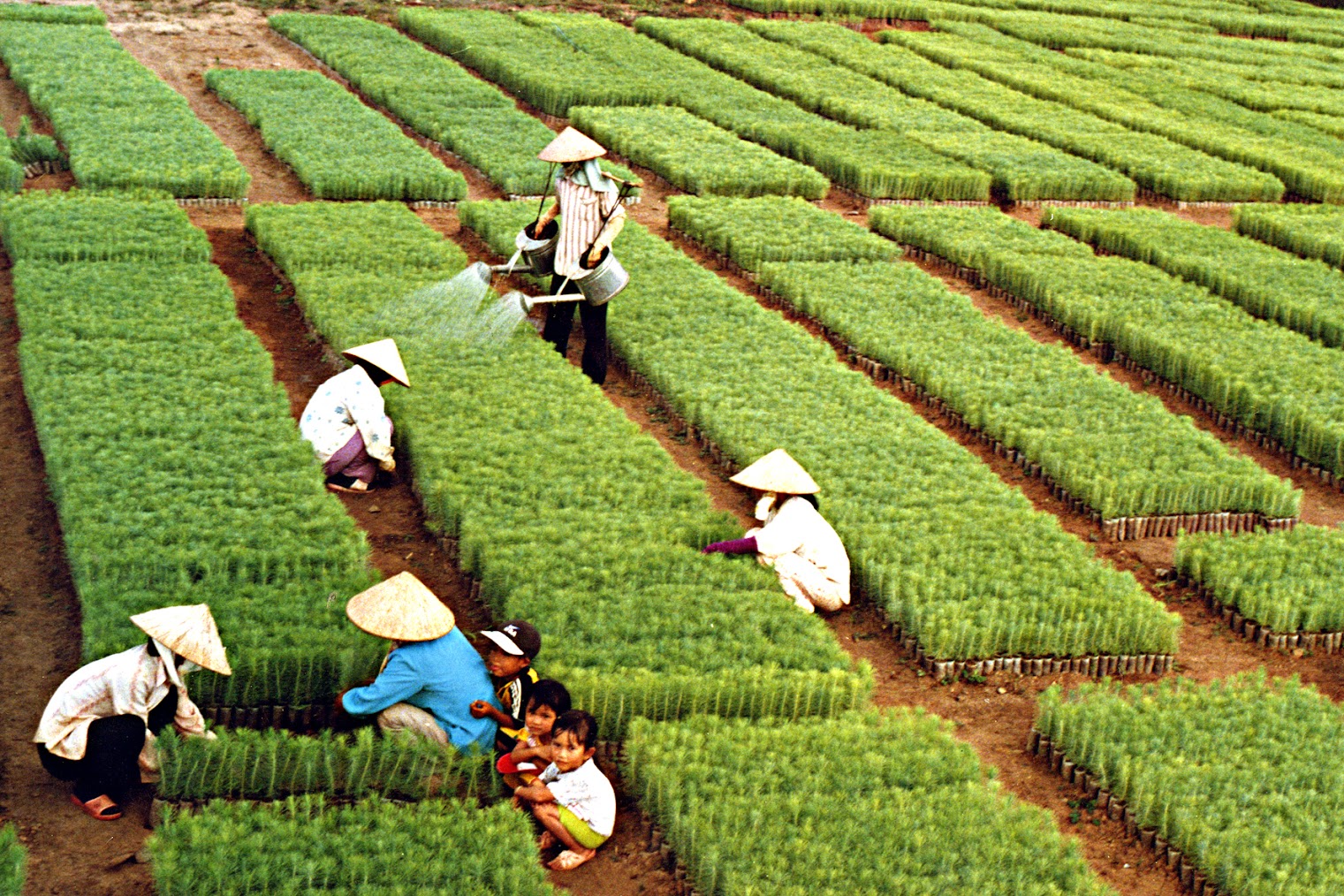 Ngành Nông nghiệp và Môi trường đặt mục tiêu xuất khẩu gần 74 tỷ USD năm 2026- Ảnh 1.