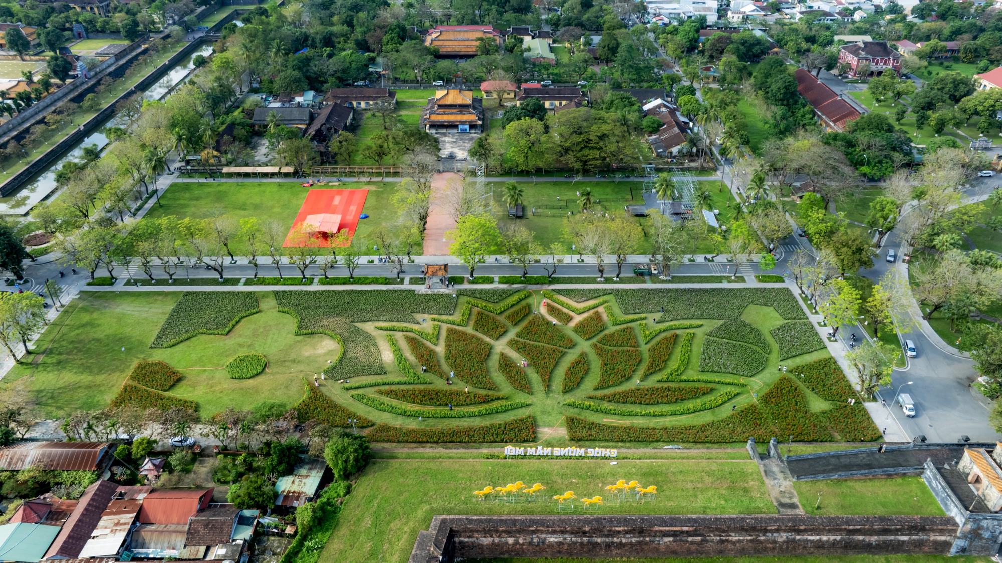 Đóa sen khổng lồ từ hơn 50.000 chậu hoa khoe sắc ở Kinh thành Huế- Ảnh 3.