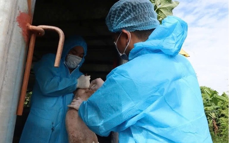 Khi nào hộ chăn nuôi được hỗ trợ do ảnh hưởng dịch bệnh?