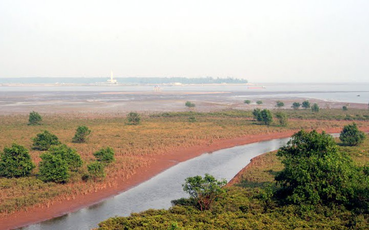 Đất bãi bồi sử dụng ổn định có được bồi thường khi thu hồi?