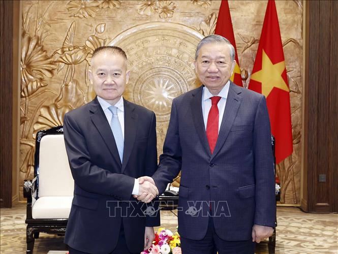 Tổng Bí thư Tô Lâm tiếp Đặc phái viên của Tổng Bí thư, Chủ tịch nước Trung Quốc Tập Cận Bình- Ảnh 1.