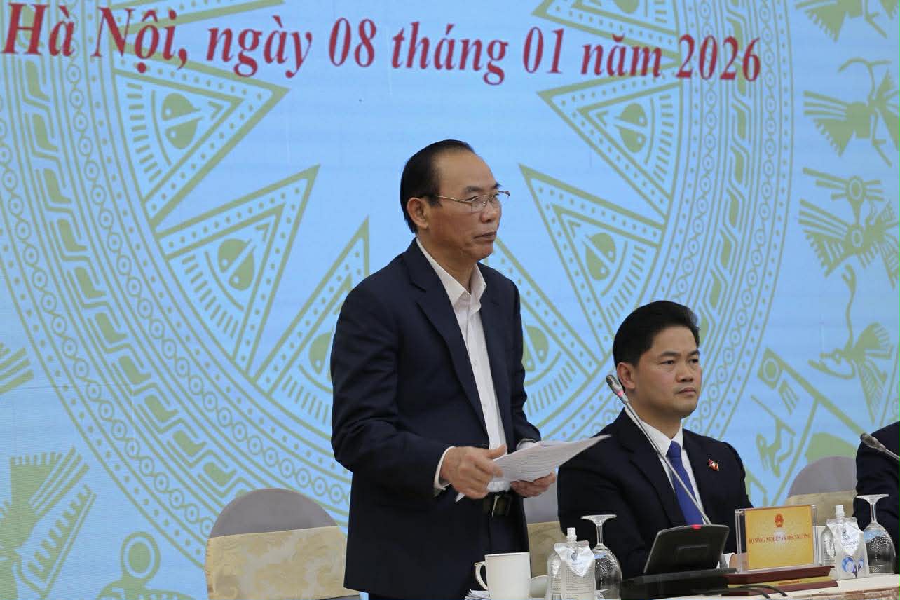 Họp báo Chính phủ thường kỳ tháng 12: Nhiều vấn đề xã hội được làm rõ- Ảnh 2. Họp báo Chính phủ thường kỳ tháng 12: Nhiều vấn đề xã hội được làm rõ- Ảnh 2.