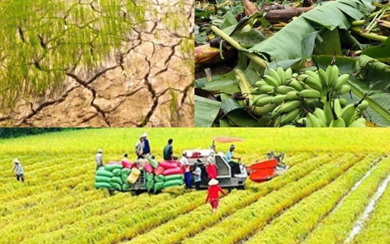 Chính sách mới có hiệu lực từ tháng 10/2026