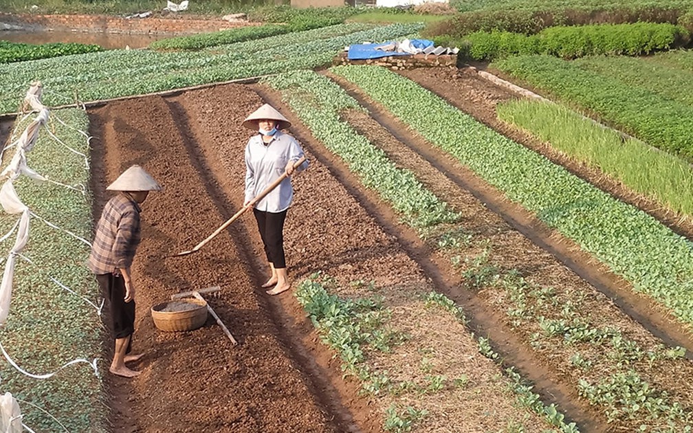 Con sản xuất nông nghiệp trên đất của bố mẹ, có được hỗ trợ chuyển đổi nghề?