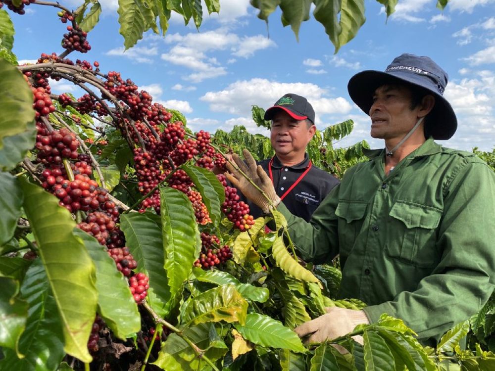 Nhận Cúp Thánh Gióng 2026, Tổng Giám đốc Nestlé Việt Nam cam kết thúc đẩy phát triển bền vững- Ảnh 3.