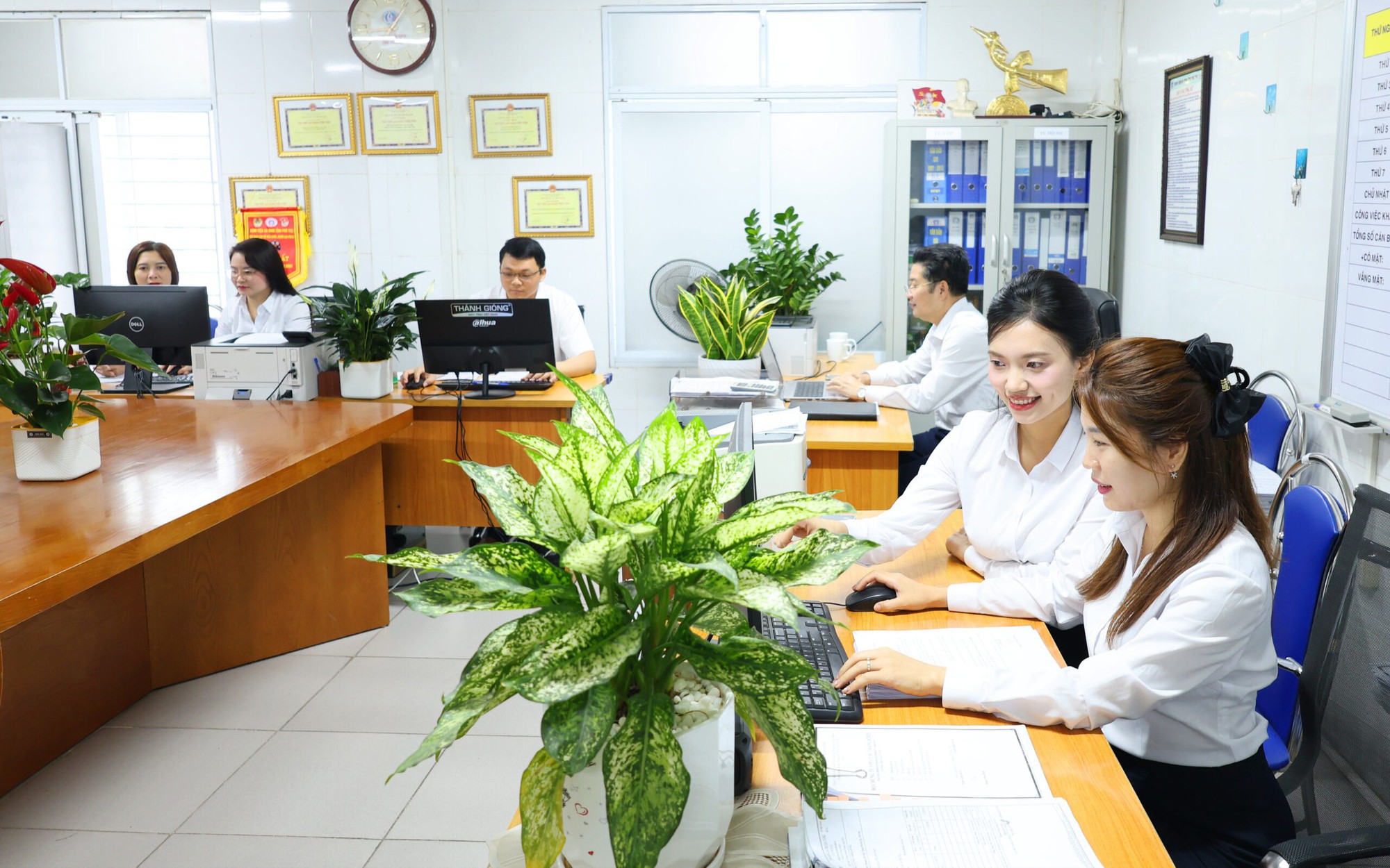 Công chức thi đỗ viên chức, thôi việc hay chuyển công tác?