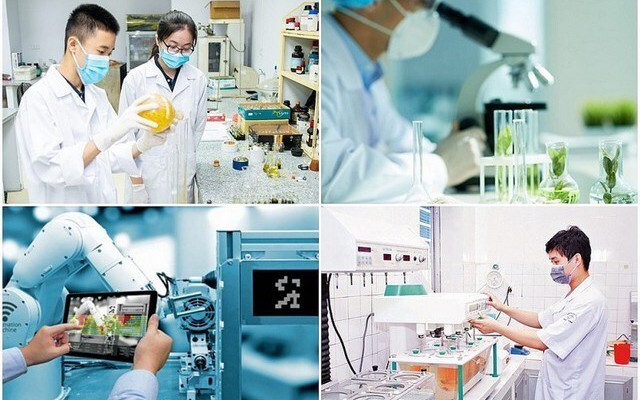 Cơ chế thu hút chuyên gia, tài năng trẻ trong hoạt động đổi mới sáng tạo, khai thác dữ liệu