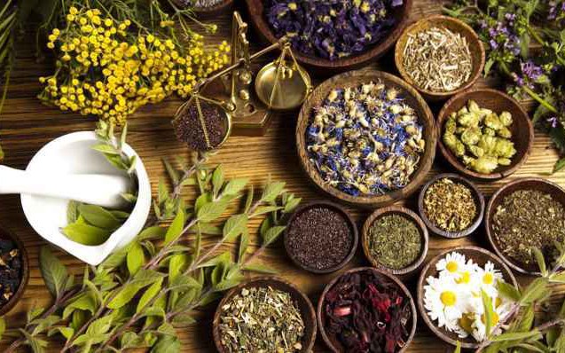 Xây dựng y học cổ truyền thành bộ phận quan trọng của hệ thống y tế quốc gia