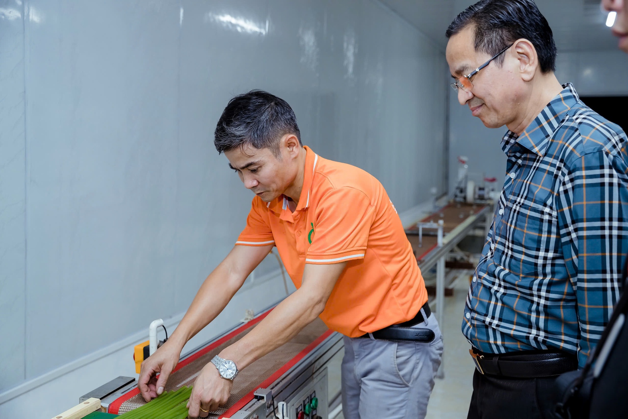 Độc đáo ống hút làm từ rau củ quả đạt chuẩn OCOP 5 sao- Ảnh 2.