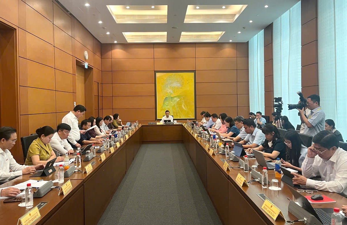 Sửa đổi Luật Đất đai: Phải phục vụ thiết thực cho các mục tiêu phát triển- Ảnh 1.