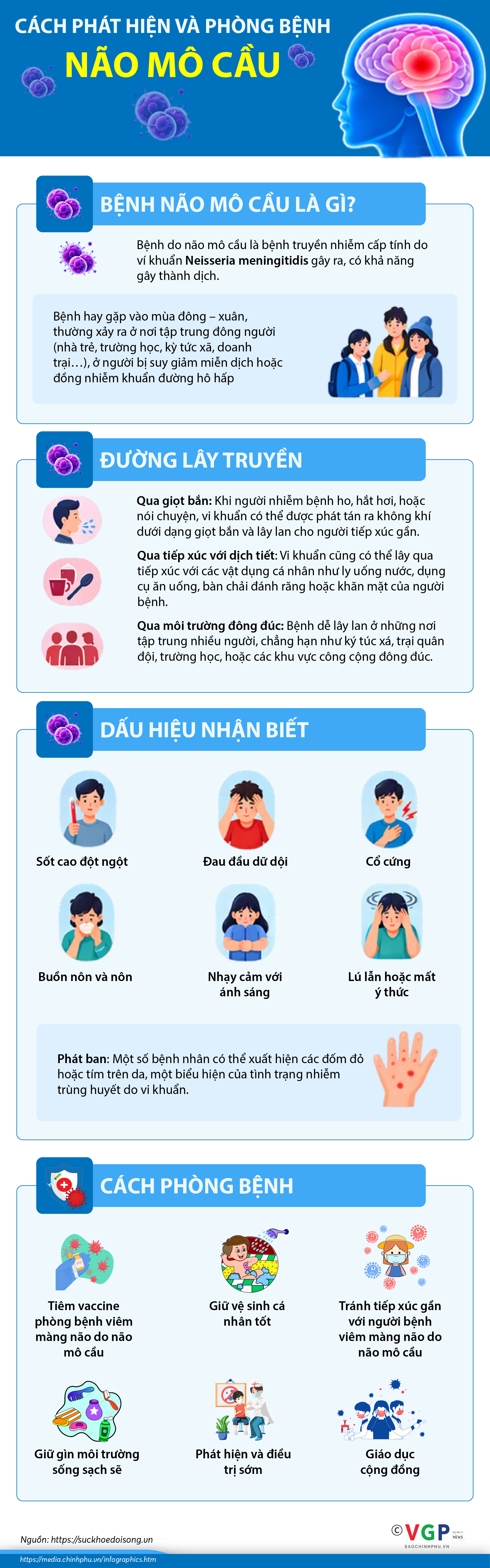 Infographics: Cách phát hiện và phòng bệnh não mô cầu - Ảnh 1.