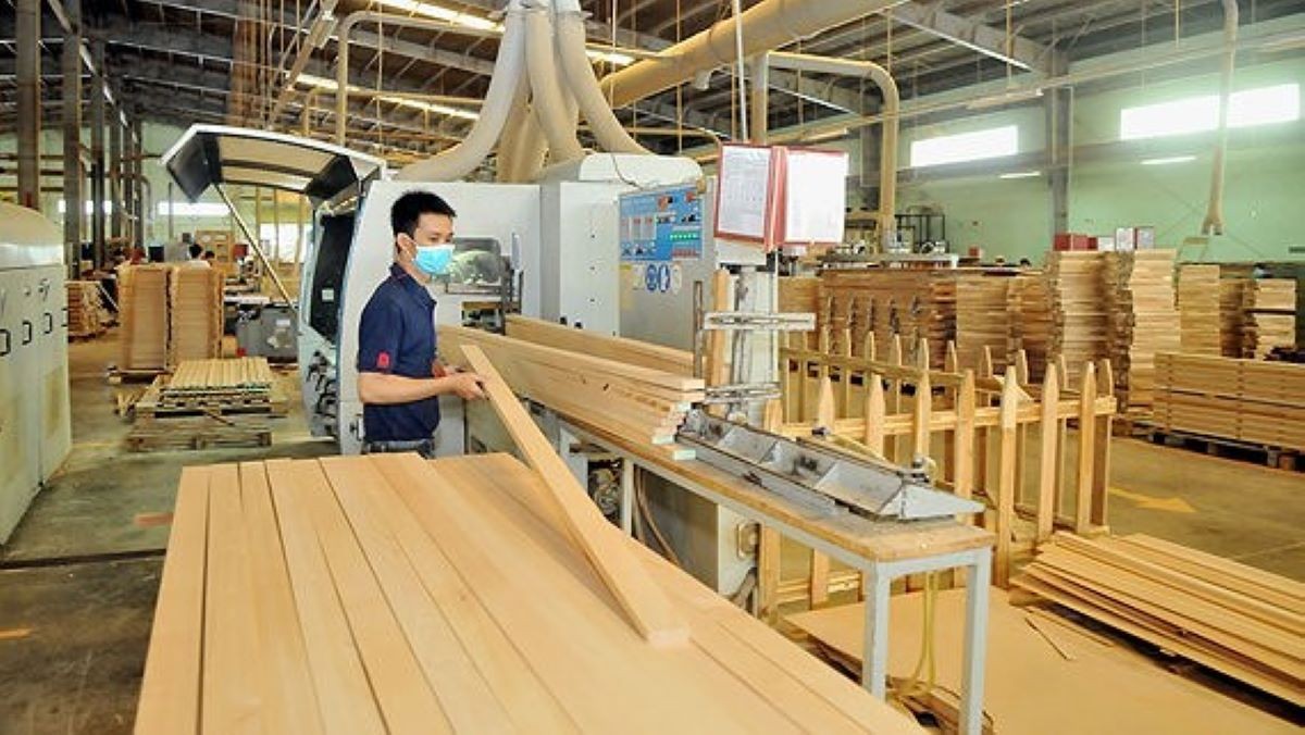 Thị trường gỗ nội địa cần một 