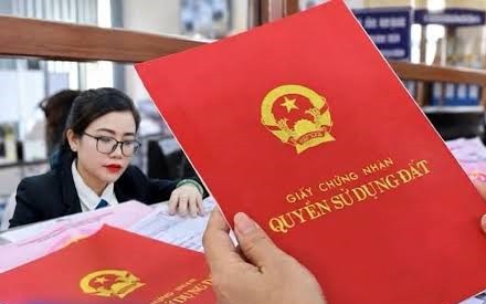 Thu hồi sổ đỏ do cấp sai đối tượng, căn cứ nào để cấp lại?