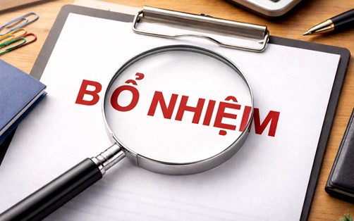 Quyết định bổ nhiệm đồng thời là quyết định tiếp nhận viên chức
