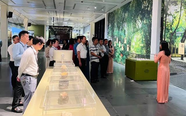 Khơi thông nguồn lực, phát huy năng lực lĩnh vực bảo tồn, bảo tàng