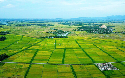 Sửa đổi, bổ sung quy định về phân cấp, phân quyền, phân định thẩm quyền trong lĩnh vực đất đai