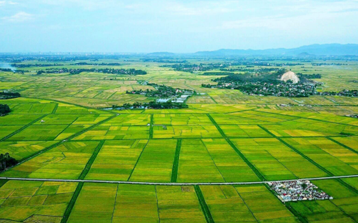 Chỉ đạo, điều hành của Chính phủ, Thủ tướng Chính phủ ngày 01/02/2026 (2)