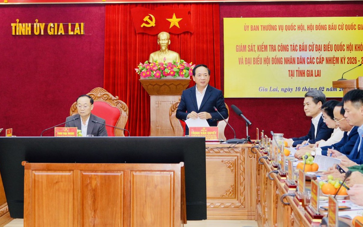 Trưởng Ban Tuyên giáo và Dân vận Trung ương làm việc với tỉnh Gia Lai về công tác bầu cử