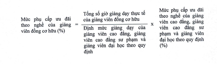Đề xuất mức phụ cấp ưu đãi đối với giảng viên đồng cơ hữu- Ảnh 2.