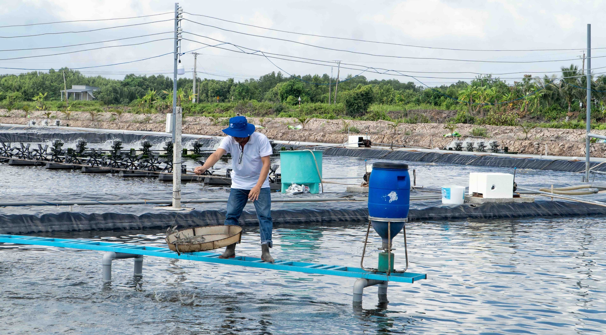 De Heus tiên phong thúc đẩy chuỗi giá trị nông nghiệp Việt Nam phát triển bền vững- Ảnh 6. De Heus tiên phong thúc đẩy chuỗi giá trị nông nghiệp Việt Nam phát triển bền vững- Ảnh 6.