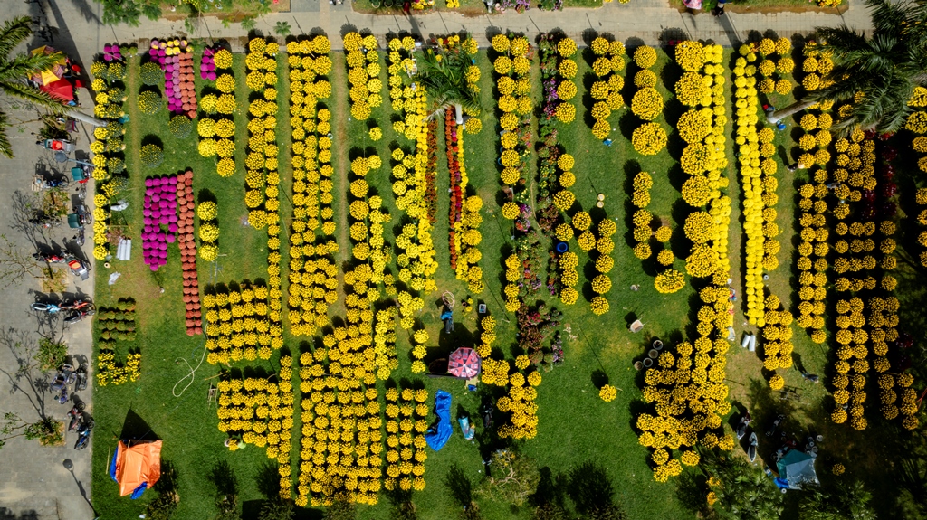 Nhộn nhịp chợ hoa Xuân ở Cố đô Huế- Ảnh 1.