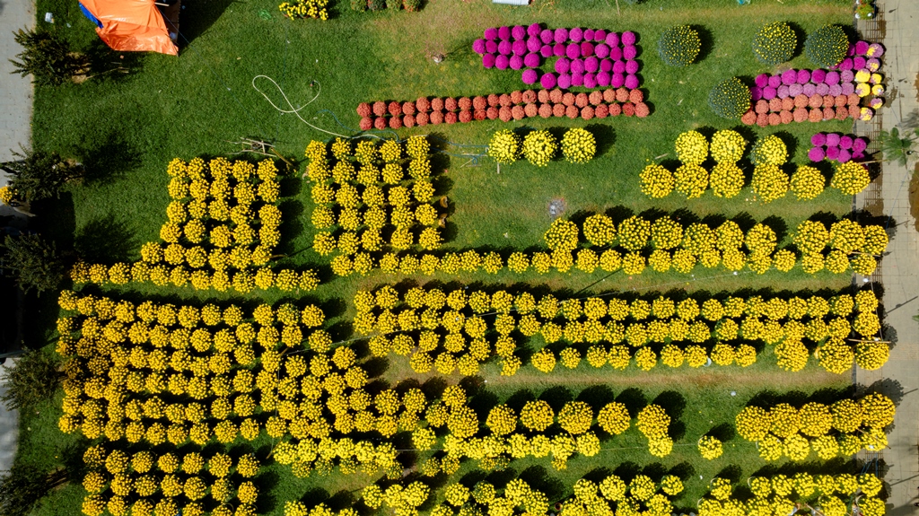 Nhộn nhịp chợ hoa Xuân ở Cố đô Huế- Ảnh 4.