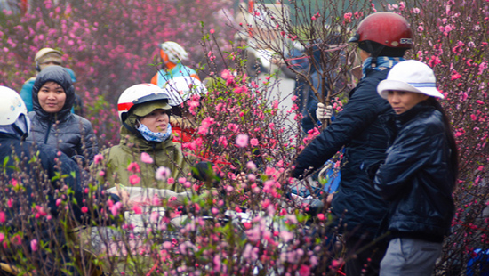 Không khí lạnh tăng cường, miền Bắc chuyển rét từ mùng 1 Tết- Ảnh 1.