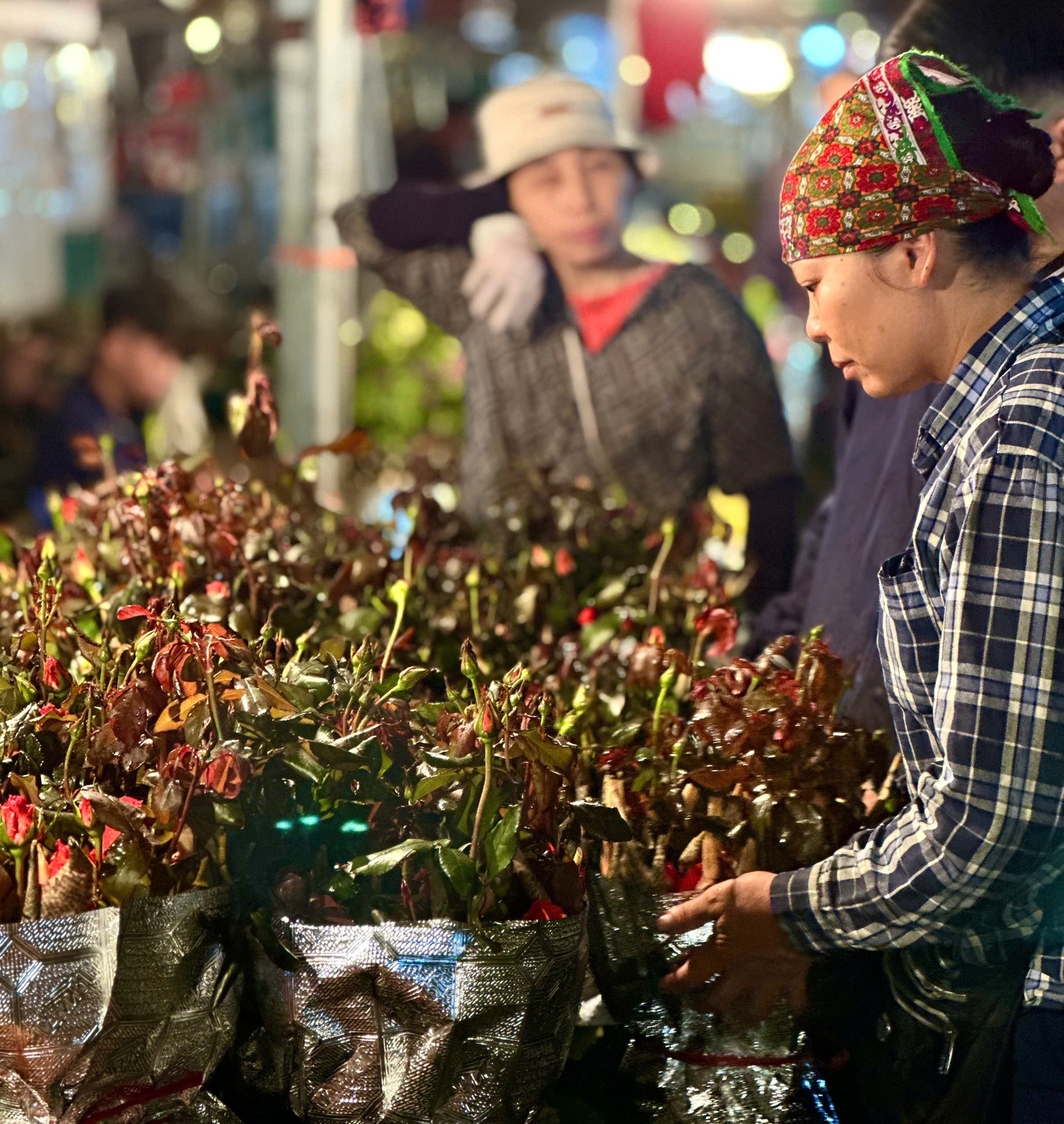 Chợ hoa đêm Quảng Bá - 'Hồn Tết' của đất Hà Thành- Ảnh 6. Chợ hoa đêm Quảng Bá - 'Hồn Tết' của đất Hà Thành- Ảnh 6.