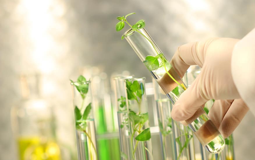 Chỉ đạo, điều hành của Chính phủ, Thủ tướng Chính phủ ngày 02/02/2026