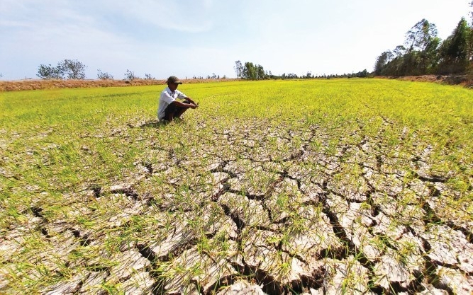 Chỉ đạo, điều hành của Chính phủ, Thủ tướng Chính phủ ngày 20/2/2026