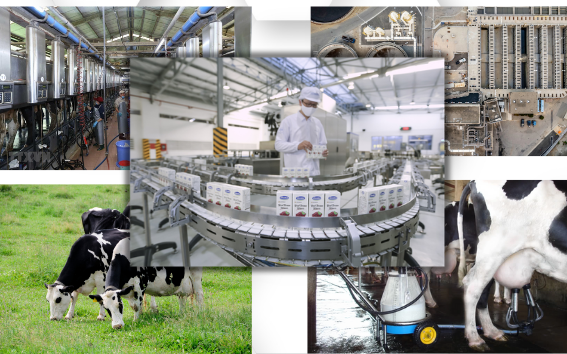 Phát triển bền vững và xanh hóa ngành công nghiệp chế biến sữa- Ảnh 1. Phát triển bền vững và xanh hóa ngành công nghiệp chế biến sữa- Ảnh 1.