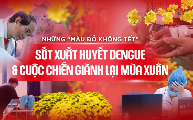 Longform: Những “màu đỏ không Tết” do sốt xuất huyết Dengue và cuộc chiến giành lại mùa xuân