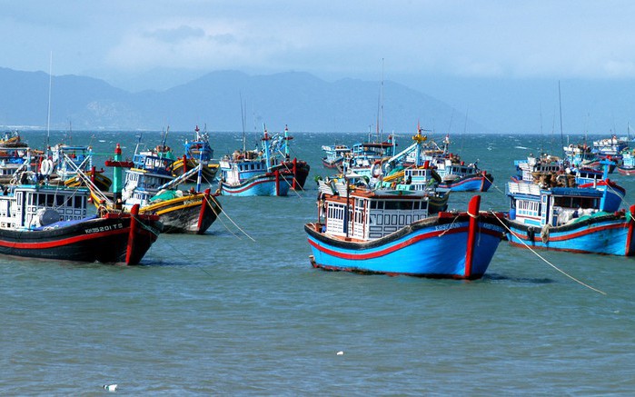 Tập trung chuẩn bị làm việc với Đoàn Thanh tra của EC, quyết tâm gỡ cảnh báo “thẻ vàng” IUU