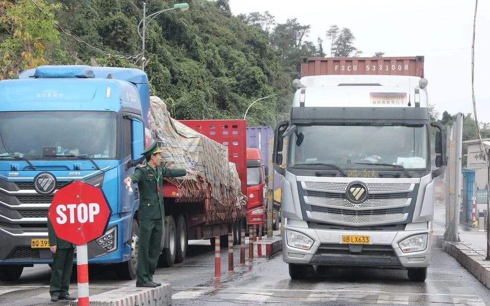 Tạm dừng áp dụng Nghị định số 46 về an toàn thực phẩm đến hết ngày 15/4/2026