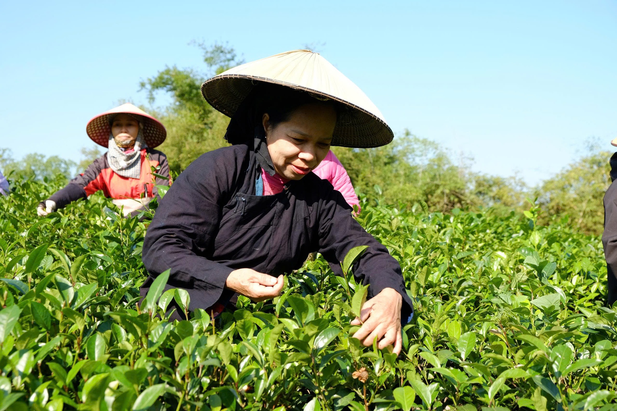 Cử tri gửi gắm kỳ vọng trước ngày bầu cử- Ảnh 4. Cử tri gửi gắm kỳ vọng trước ngày bầu cử- Ảnh 4.