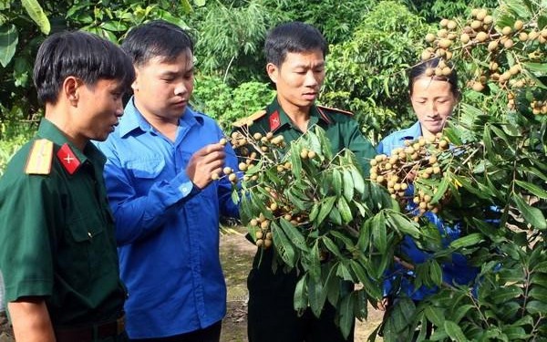 Trí thức trẻ Đề án 500 có được tiếp nhận vào công chức?